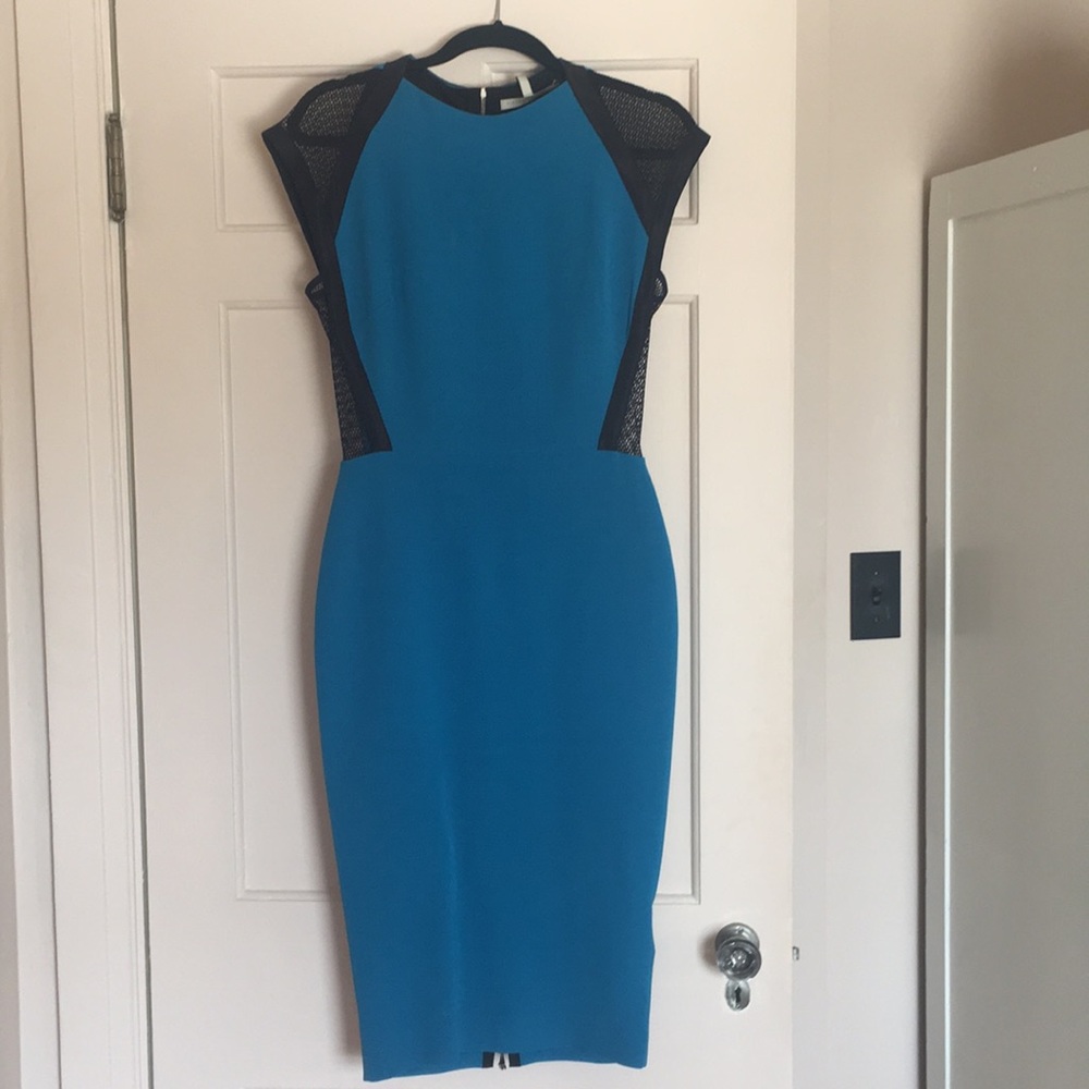 Blue Victoria Beckham Dress
